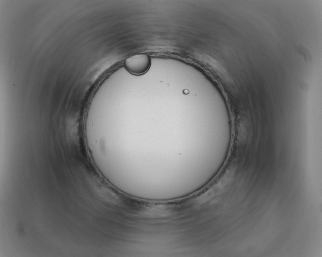 X0000113851162200910081640