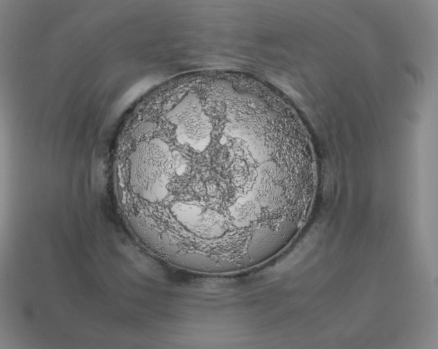 X0000113851163200910081640