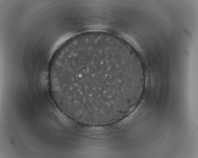 X0000113851164200910081640