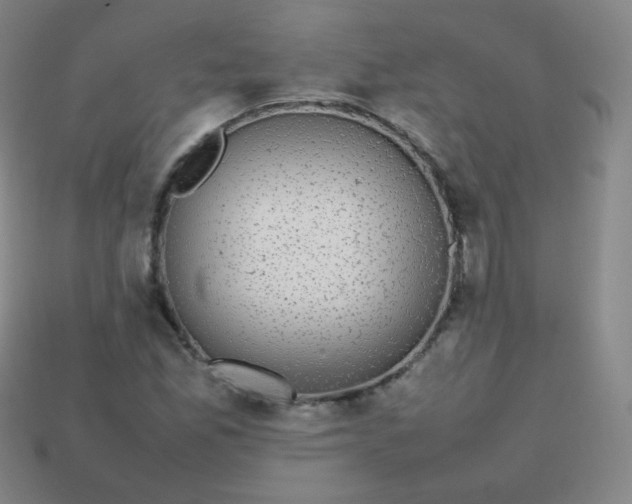 X0000113851165200910081639