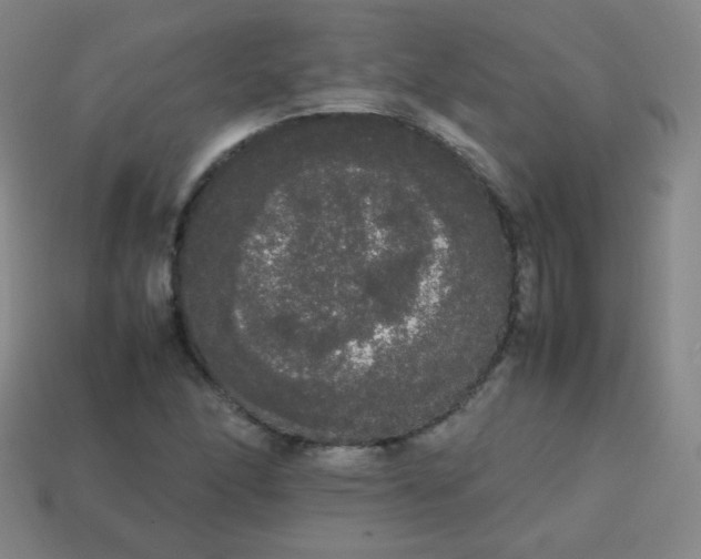 X0000113851166200910081639