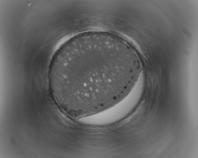 X0000113851168200910081639