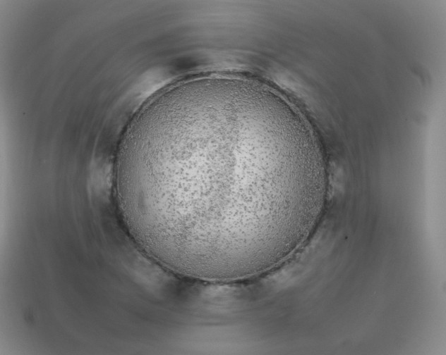 X0000113851169200910081639