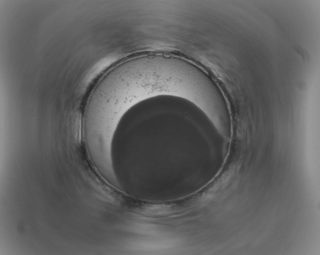 X0000113851171200910081639