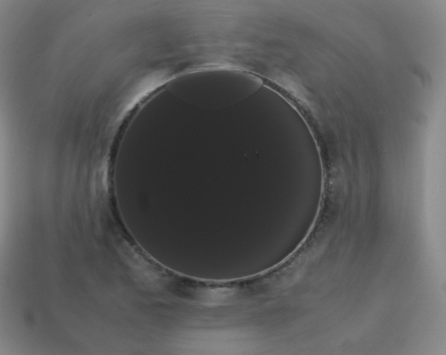 X0000113851173200910081639