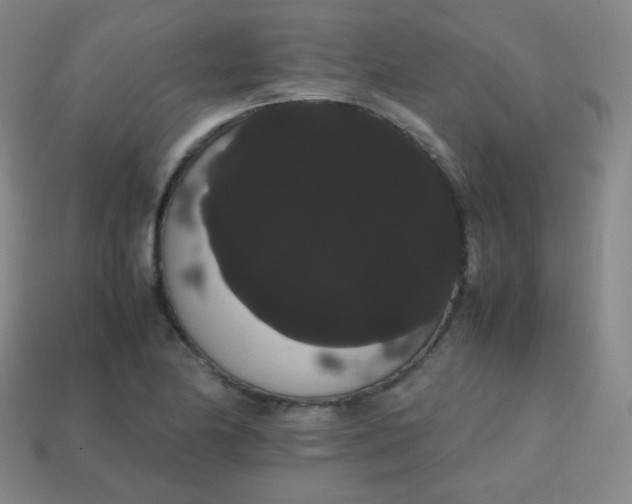 X0000113851174200910081639