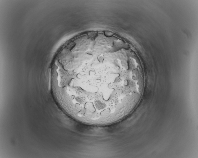 X0000113851175200910081639