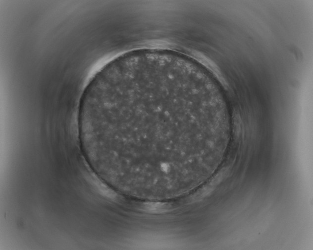 X0000113851176200910081639