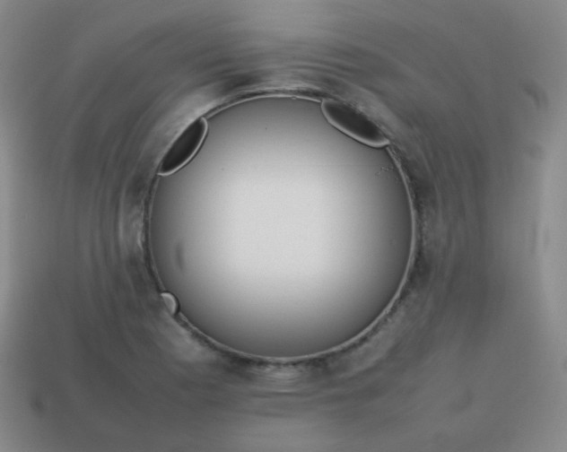 X0000113851177200910081639