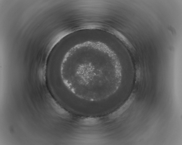 X0000113851178200910081639