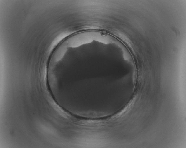 X0000113851179200910081639