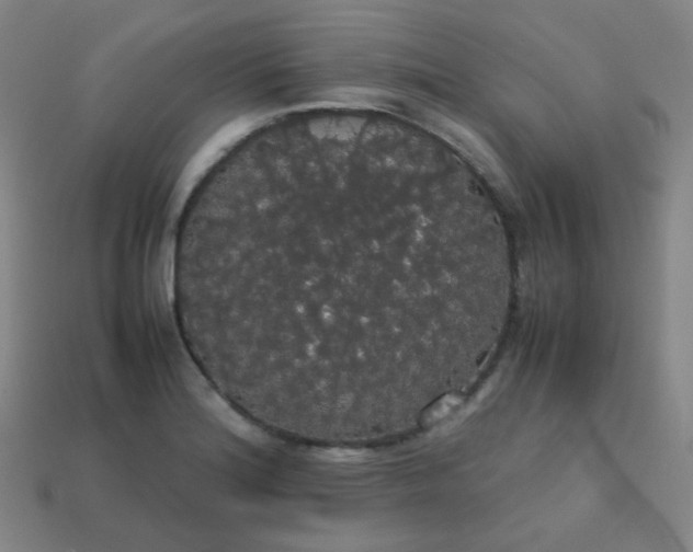 X0000113851180200910081639