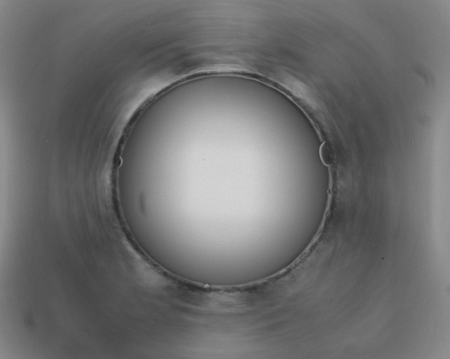 X0000113851181200910081639