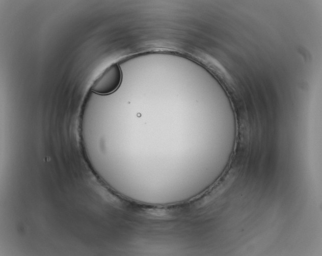 X0000113851182200910081639