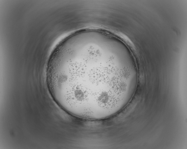 X0000113851183200910081639