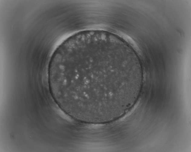 X0000113851184200910081639