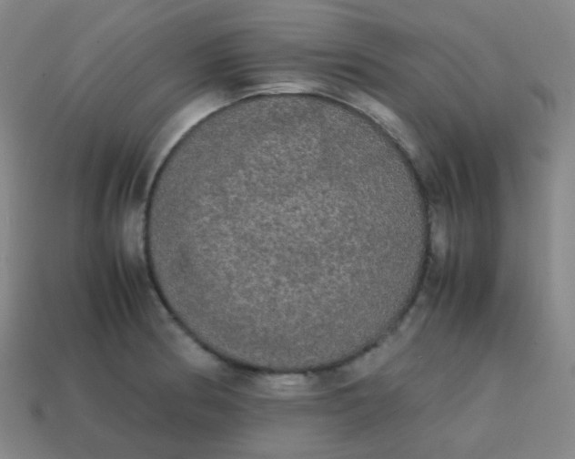 X0000113851186200910081639