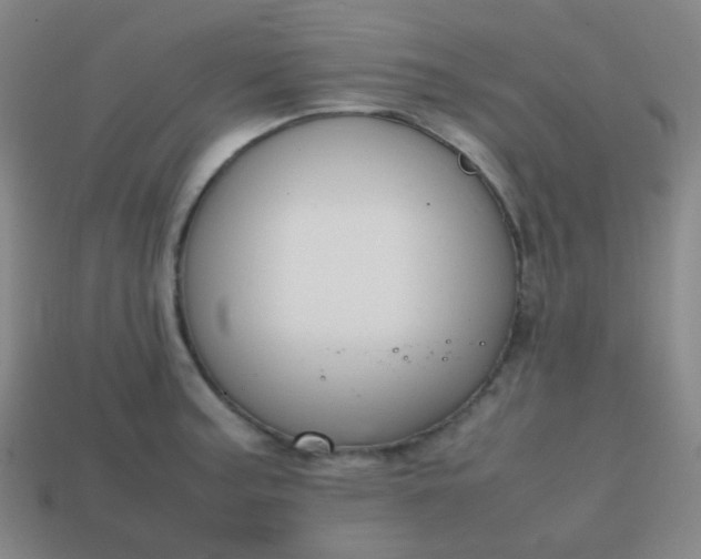 X0000113851187200910081639