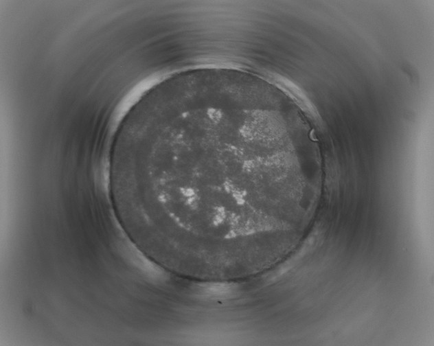 X0000113851188200910081639