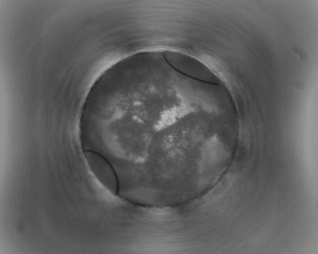 X0000113851189200910081639