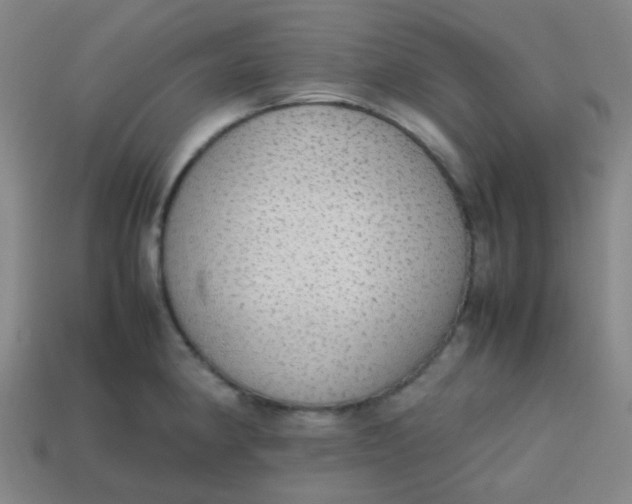 X0000113851190200910081639