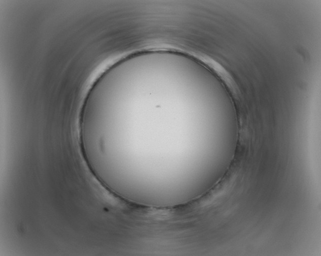 X0000113851191200910081639