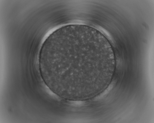 X0000113851192200910081639