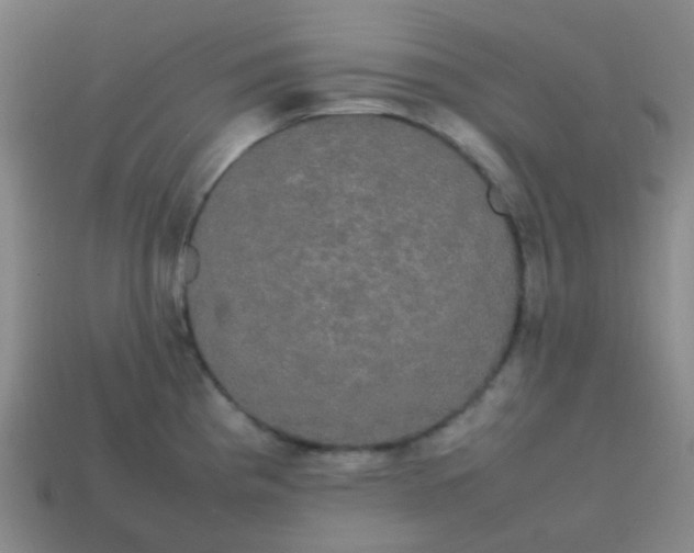 X0000113851193200910081639