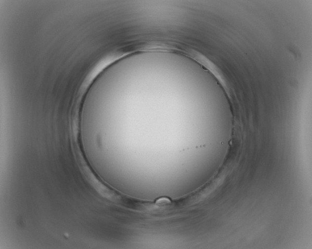 X0000113851195200910081639