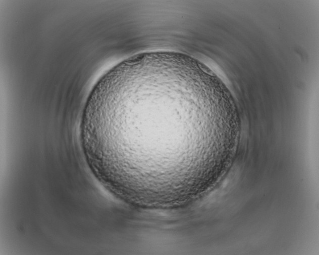 X0000113851197200910081639