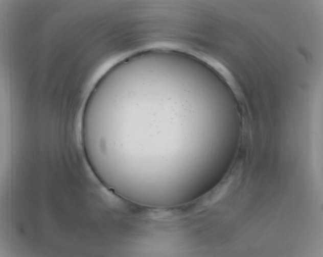 X0000113851199200910081639