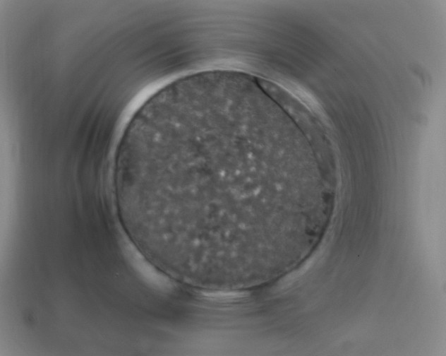 X0000113851200200910081639