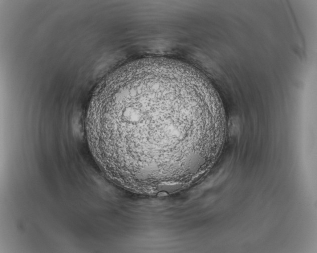 X0000113851202200910081638