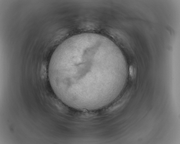 X0000113851203200910081638