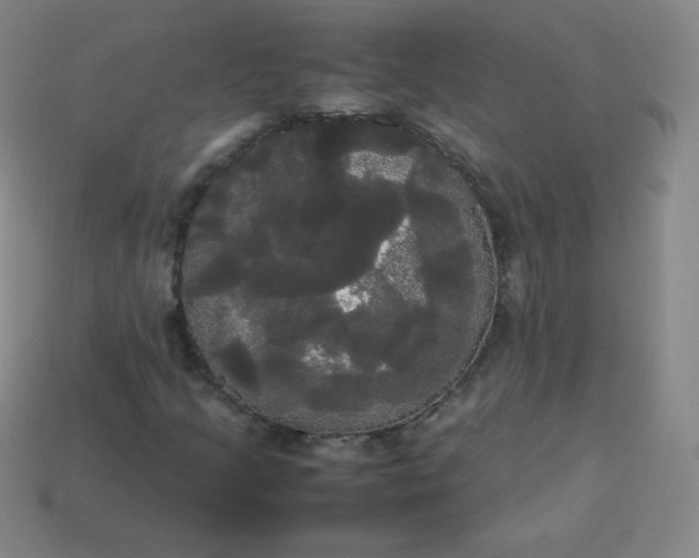 X0000113851205200910081638