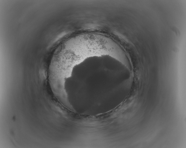 X0000113851206200910081638