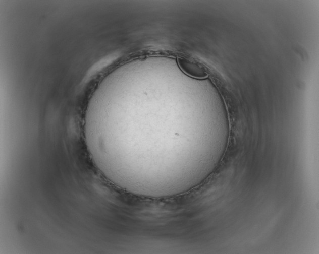 X0000113851207200910081639