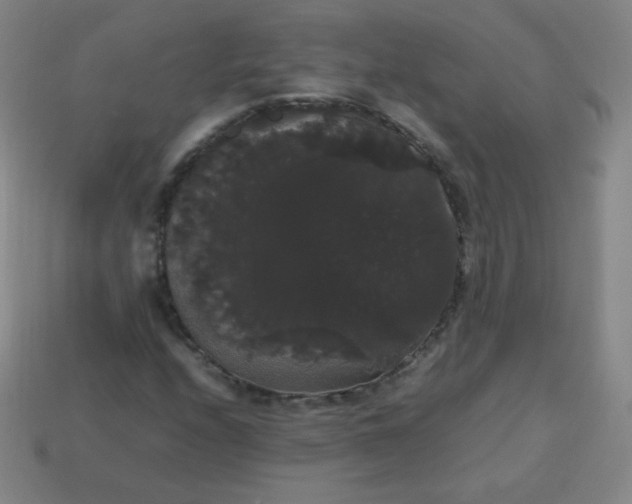 X0000113851208200910081639