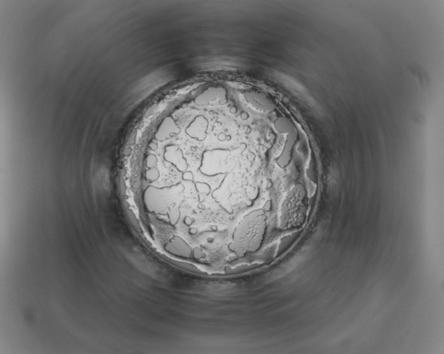 X0000113851209200910081639