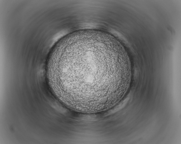 X0000113851210200910081639