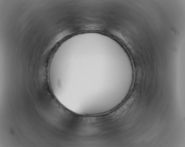 X0000113851211200910081639