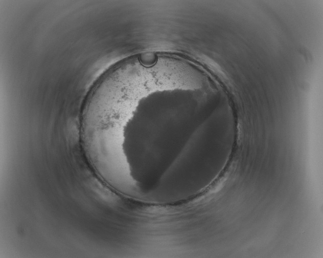 X0000113851212200910081639