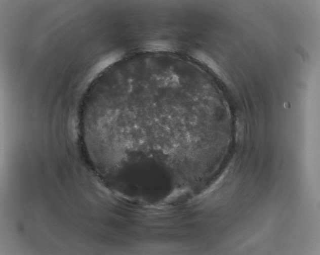 X0000113851213200910081639