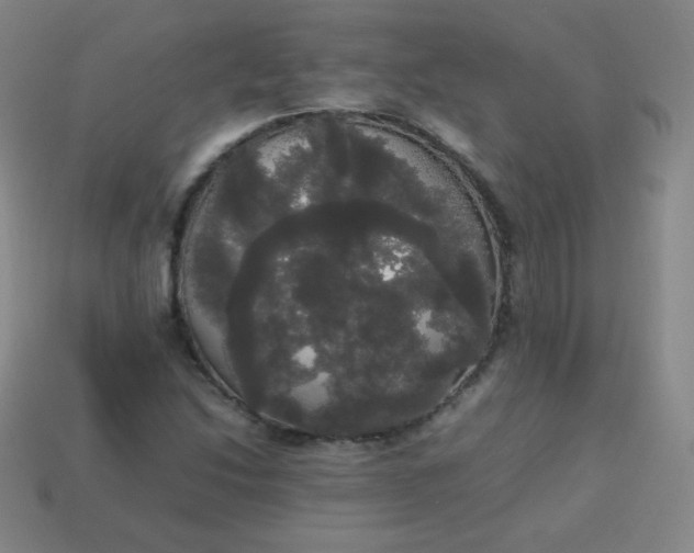 X0000113851214200910081639