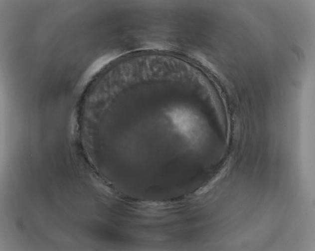 X0000113851215200910081639