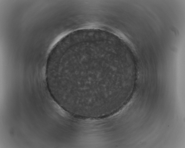 X0000113851216200910081639