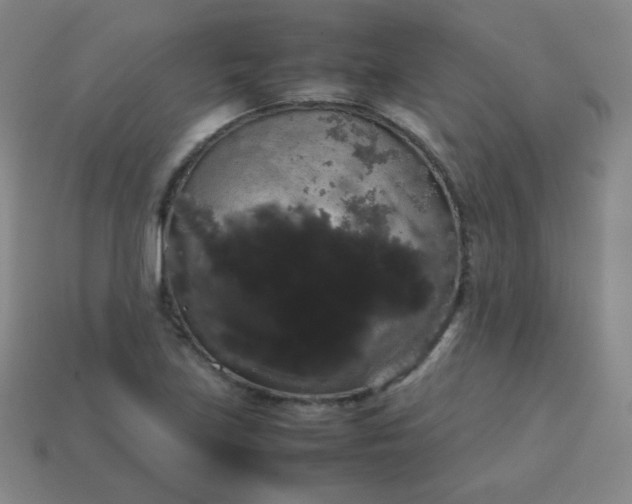 X0000113851219200910081639