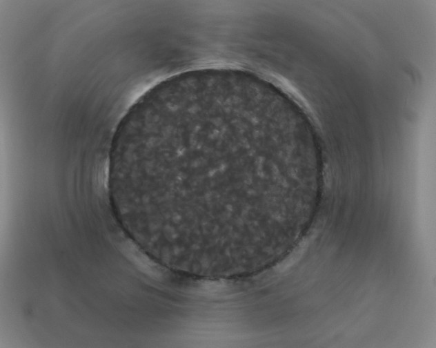 X0000113851220200910081639