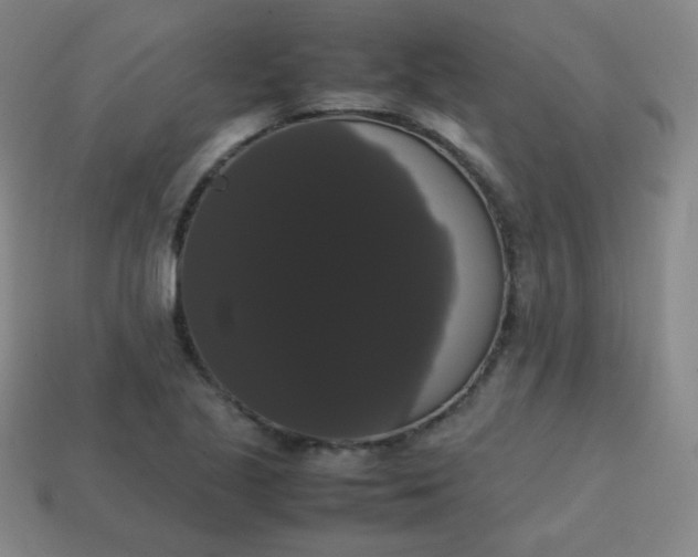 X0000113851221200910081639