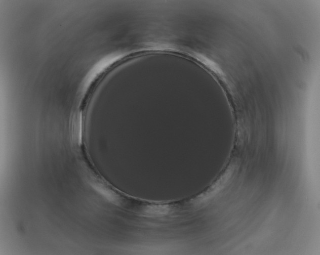 X0000113851223200910081639